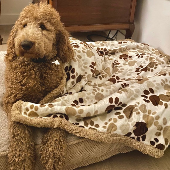 Meet your Posher, Michelle - Picture 1 of 1